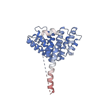 29256_8fkt_NO_v1-1
Human nucleolar pre-60S ribosomal subunit (State C1)