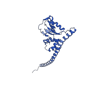 29256_8fkt_SD_v1-1
Human nucleolar pre-60S ribosomal subunit (State C1)