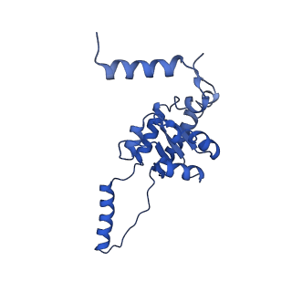 29256_8fkt_SE_v1-1
Human nucleolar pre-60S ribosomal subunit (State C1)