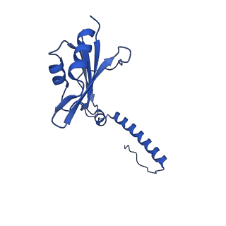 29256_8fkt_SH_v1-1
Human nucleolar pre-60S ribosomal subunit (State C1)