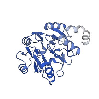 29256_8fkt_SK_v1-1
Human nucleolar pre-60S ribosomal subunit (State C1)