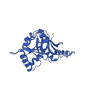 29256_8fkt_SL_v1-1
Human nucleolar pre-60S ribosomal subunit (State C1)