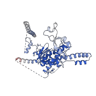 29256_8fkt_SM_v1-1
Human nucleolar pre-60S ribosomal subunit (State C1)