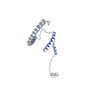 29256_8fkt_SN_v1-1
Human nucleolar pre-60S ribosomal subunit (State C1)