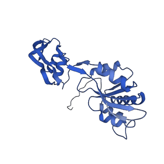 29256_8fkt_SQ_v1-1
Human nucleolar pre-60S ribosomal subunit (State C1)