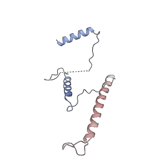 29256_8fkt_ST_v1-1
Human nucleolar pre-60S ribosomal subunit (State C1)