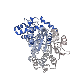 29256_8fkt_SW_v1-1
Human nucleolar pre-60S ribosomal subunit (State C1)
