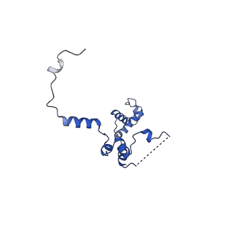 29256_8fkt_SZ_v1-1
Human nucleolar pre-60S ribosomal subunit (State C1)