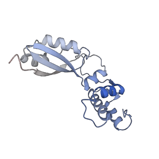 29257_8fku_BA_v1-1
Human nucleolar pre-60S ribosomal subunit (State C2)