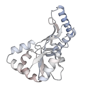 29257_8fku_BB_v1-1
Human nucleolar pre-60S ribosomal subunit (State C2)