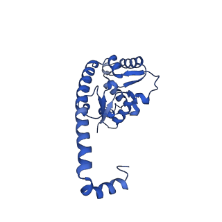29257_8fku_L7_v1-1
Human nucleolar pre-60S ribosomal subunit (State C2)