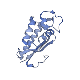 29257_8fku_LA_v1-1
Human nucleolar pre-60S ribosomal subunit (State C2)