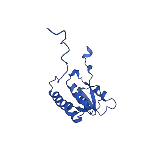 29257_8fku_LB_v1-1
Human nucleolar pre-60S ribosomal subunit (State C2)