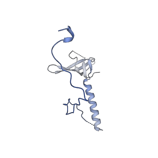 29257_8fku_LE_v1-1
Human nucleolar pre-60S ribosomal subunit (State C2)