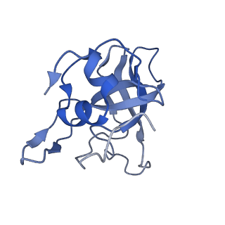 29257_8fku_LG_v1-1
Human nucleolar pre-60S ribosomal subunit (State C2)
