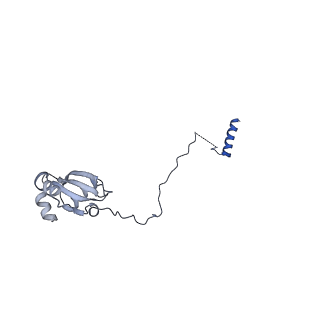 29257_8fku_LH_v1-1
Human nucleolar pre-60S ribosomal subunit (State C2)