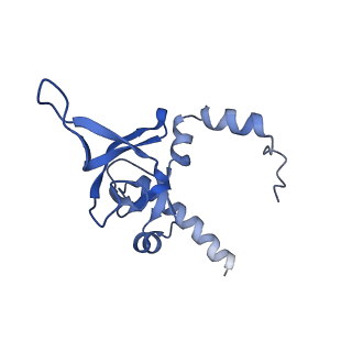29257_8fku_LI_v1-1
Human nucleolar pre-60S ribosomal subunit (State C2)
