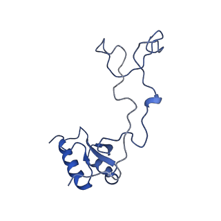 29257_8fku_LQ_v1-1
Human nucleolar pre-60S ribosomal subunit (State C2)