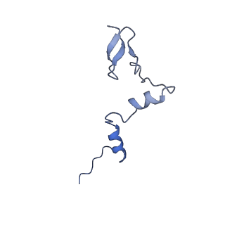 29257_8fku_LW_v1-1
Human nucleolar pre-60S ribosomal subunit (State C2)