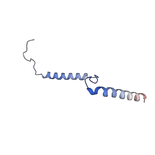 29257_8fku_NB_v1-1
Human nucleolar pre-60S ribosomal subunit (State C2)