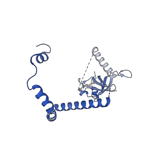 29257_8fku_NF_v1-1
Human nucleolar pre-60S ribosomal subunit (State C2)