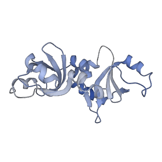 29257_8fku_NH_v1-1
Human nucleolar pre-60S ribosomal subunit (State C2)