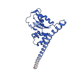 29257_8fku_SD_v1-1
Human nucleolar pre-60S ribosomal subunit (State C2)