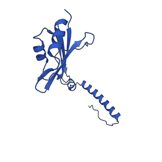 29257_8fku_SH_v1-1
Human nucleolar pre-60S ribosomal subunit (State C2)