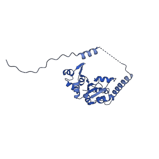 29257_8fku_SI_v1-1
Human nucleolar pre-60S ribosomal subunit (State C2)
