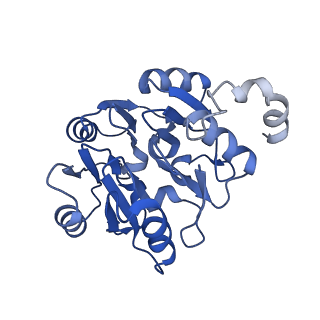 29257_8fku_SK_v1-1
Human nucleolar pre-60S ribosomal subunit (State C2)