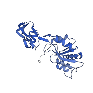 29257_8fku_SQ_v1-1
Human nucleolar pre-60S ribosomal subunit (State C2)