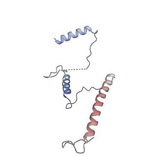 29257_8fku_ST_v1-1
Human nucleolar pre-60S ribosomal subunit (State C2)