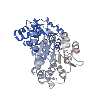29257_8fku_SW_v1-1
Human nucleolar pre-60S ribosomal subunit (State C2)
