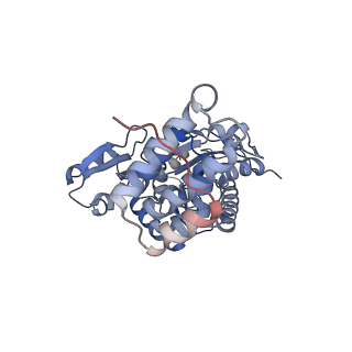 29257_8fku_SY_v1-1
Human nucleolar pre-60S ribosomal subunit (State C2)