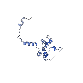 29257_8fku_SZ_v1-1
Human nucleolar pre-60S ribosomal subunit (State C2)