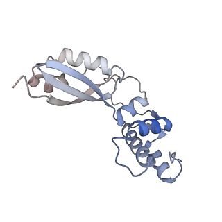 29259_8fkw_BA_v1-2
Human nucleolar pre-60S ribosomal subunit (State D2)