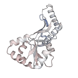 29259_8fkw_BB_v1-2
Human nucleolar pre-60S ribosomal subunit (State D2)