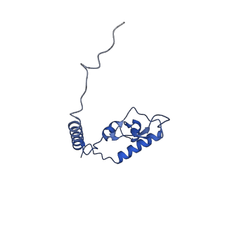 29259_8fkw_L6_v1-2
Human nucleolar pre-60S ribosomal subunit (State D2)