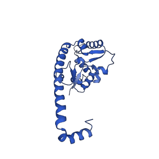 29259_8fkw_L7_v1-2
Human nucleolar pre-60S ribosomal subunit (State D2)