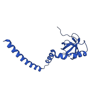 29259_8fkw_L8_v1-2
Human nucleolar pre-60S ribosomal subunit (State D2)
