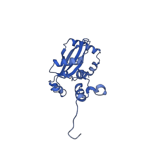 29259_8fkw_L9_v1-2
Human nucleolar pre-60S ribosomal subunit (State D2)