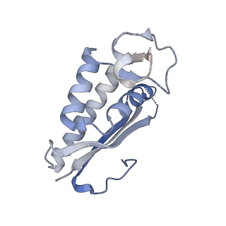 29259_8fkw_LA_v1-2
Human nucleolar pre-60S ribosomal subunit (State D2)