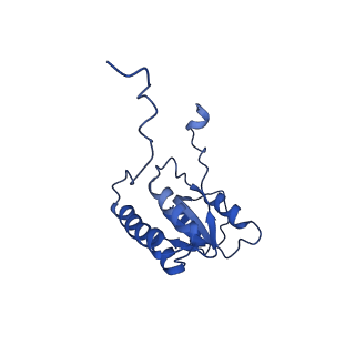 29259_8fkw_LB_v1-2
Human nucleolar pre-60S ribosomal subunit (State D2)