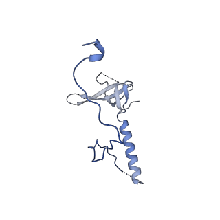 29259_8fkw_LE_v1-2
Human nucleolar pre-60S ribosomal subunit (State D2)
