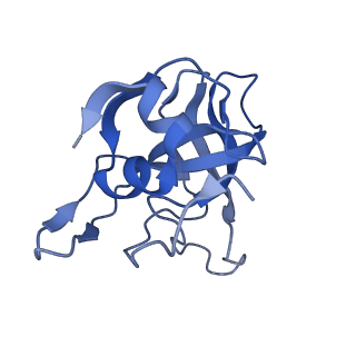 29259_8fkw_LG_v1-2
Human nucleolar pre-60S ribosomal subunit (State D2)