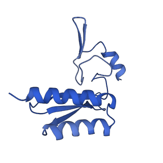 29259_8fkw_LL_v1-2
Human nucleolar pre-60S ribosomal subunit (State D2)