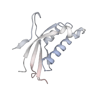 29259_8fkw_LP_v1-2
Human nucleolar pre-60S ribosomal subunit (State D2)