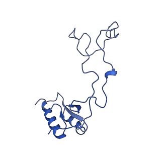 29259_8fkw_LQ_v1-2
Human nucleolar pre-60S ribosomal subunit (State D2)
