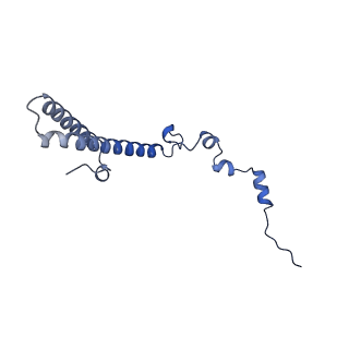 29259_8fkw_LS_v1-2
Human nucleolar pre-60S ribosomal subunit (State D2)