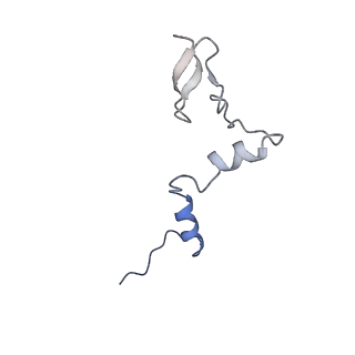 29259_8fkw_LW_v1-2
Human nucleolar pre-60S ribosomal subunit (State D2)